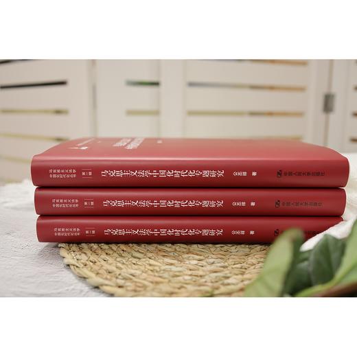 马克思主义法学中国化时代化专题研究/公丕祥 商品图1