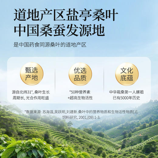 益生元桑叶青汁粉 商品图4