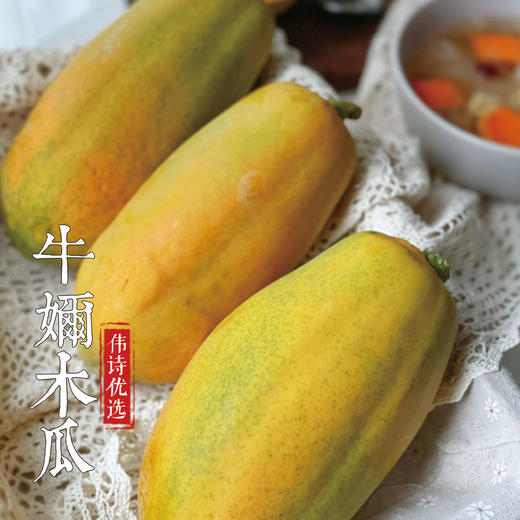 伟诗优选 | 牛奶木瓜 商品图1