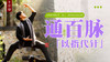 云禅修｜百脉通禅功线下实修营｜4.29-5.1｜课程装备｜元和学院 商品缩略图0