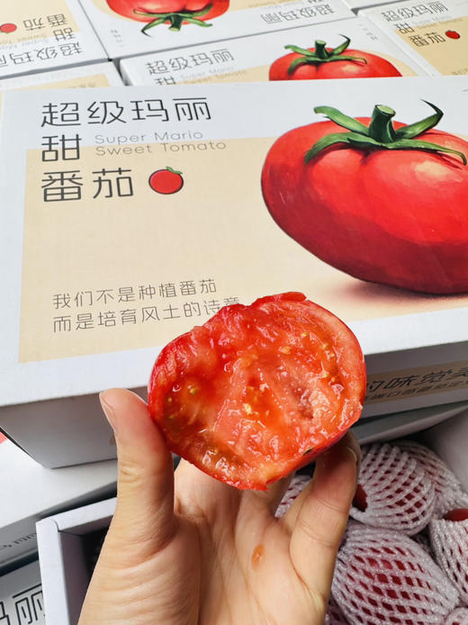 超级玛丽甜番茄 商品图2