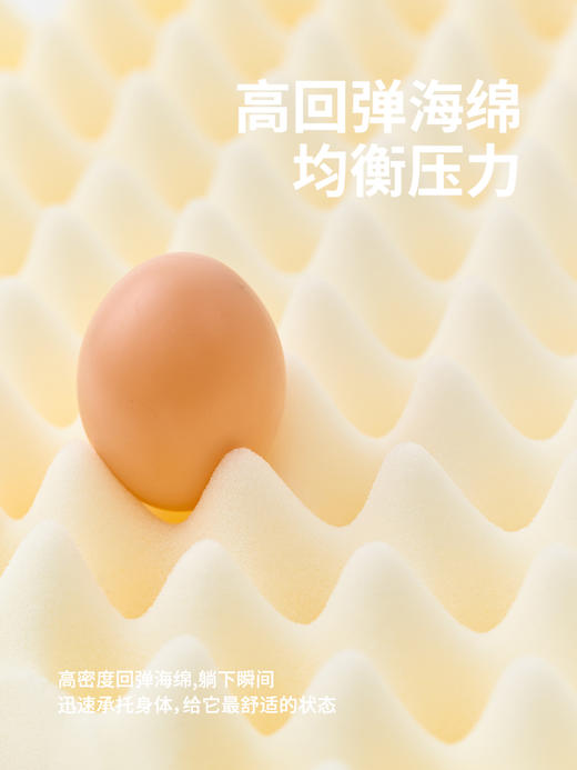 夹心宠物沙发床-B（包邮） 商品图2