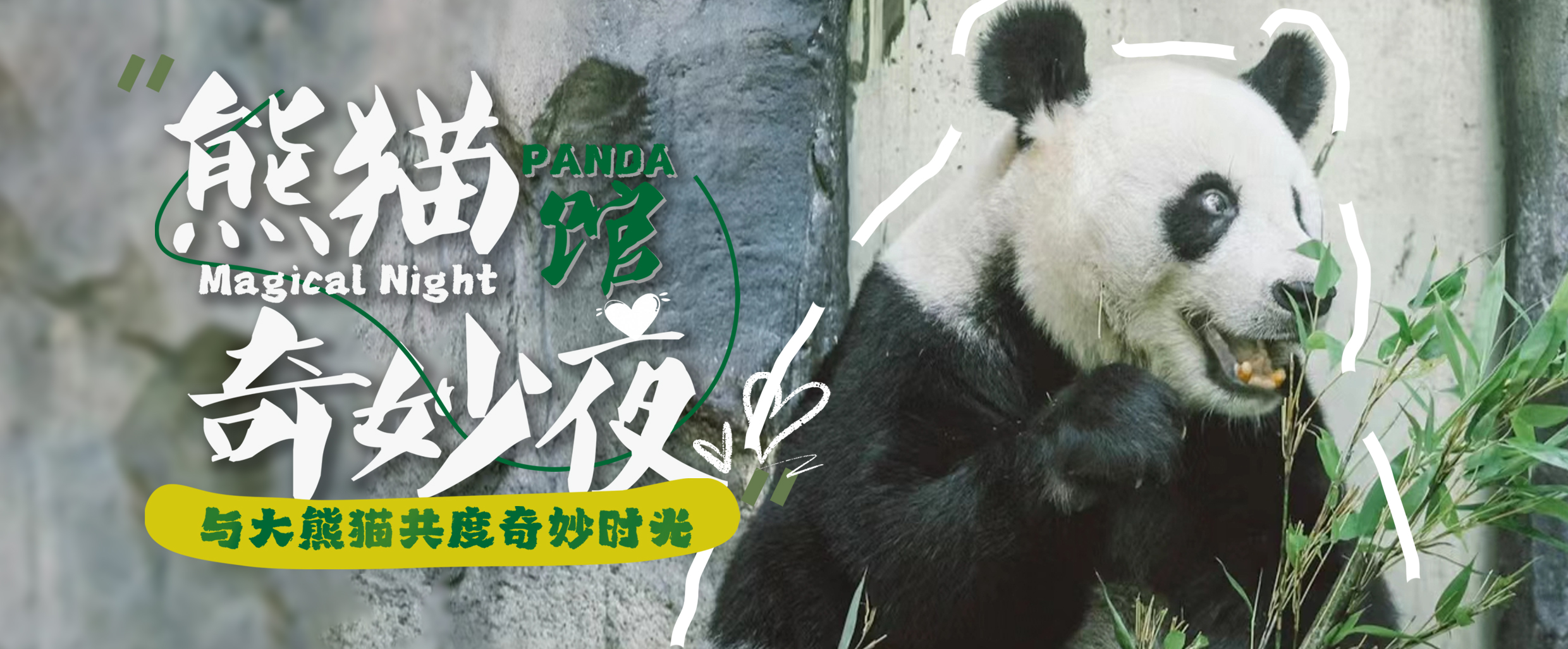 清明五一熊猫奇妙夜2日儿童独立营，熊猫饲养员的别样体验，与熊猫共眠的奇妙夜宿