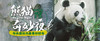 清明五一熊猫奇妙夜2日儿童独立营，熊猫饲养员的别样体验，与熊猫共眠的奇妙夜宿 商品缩略图0