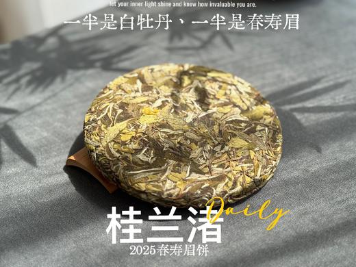 [好茶来了]《桂兰渚》2025春寿眉饼，一半是白牡丹一半是春寿眉的，茶饼，花香更艳，香气更足 商品图1