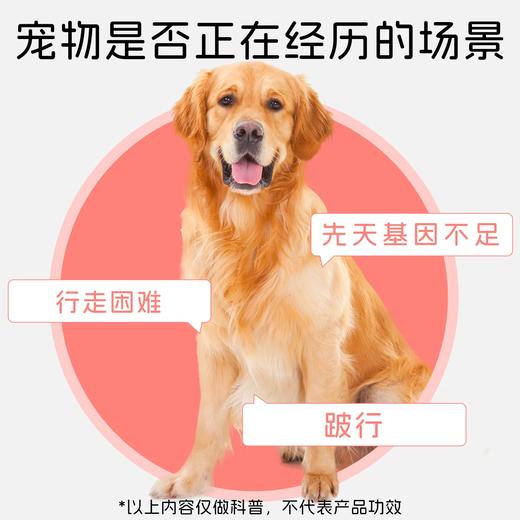 澳滋麦关劲强大型犬止疼软骨素15克一包狗关节软骨素骨胶原猫条狗 商品图1