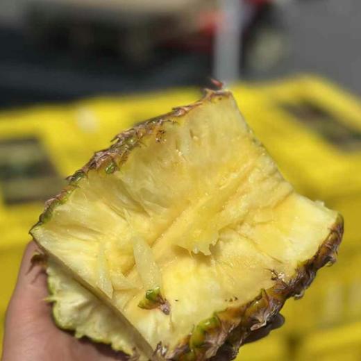 冲浪凤梨（约2.2斤）要切备注  商品图3