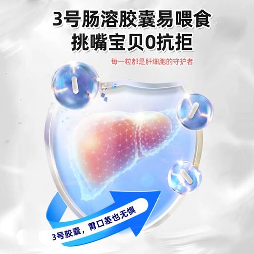 澳滋麦甘泰利猫咪护肝猫用护肝胶囊犬猫宠物肝脏保护狗狗护肝胶囊 商品图2