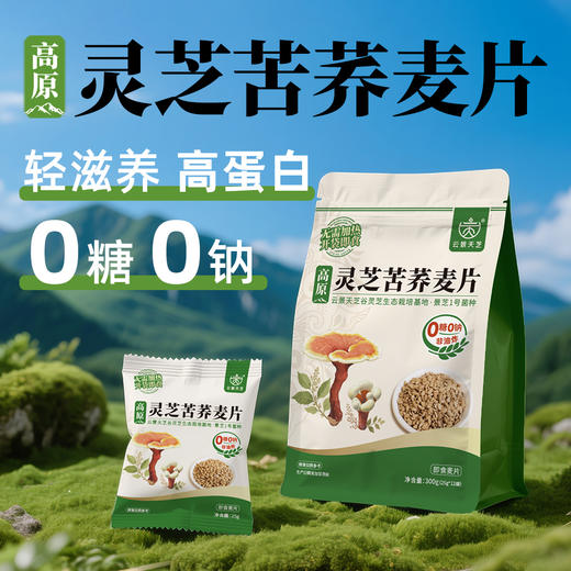 【新品上市】云景天芝·糖友救星 灵芝苦荞麦片O糖O钠高蛋白即食非油炸营养代餐 商品图0