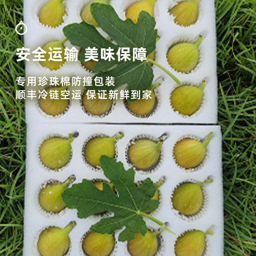 企鹅市集|海南 芭劳奈无花果 大芭无花果 软糯迷人 甜蜜焦糖香 商品图4