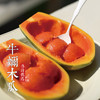伟诗优选 | 牛奶木瓜 商品缩略图3