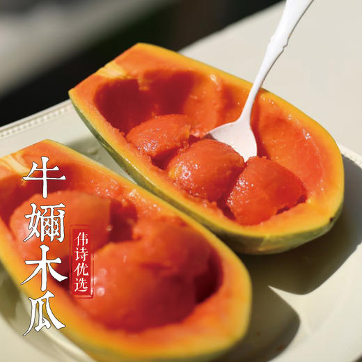 伟诗优选 | 牛奶木瓜 商品图3