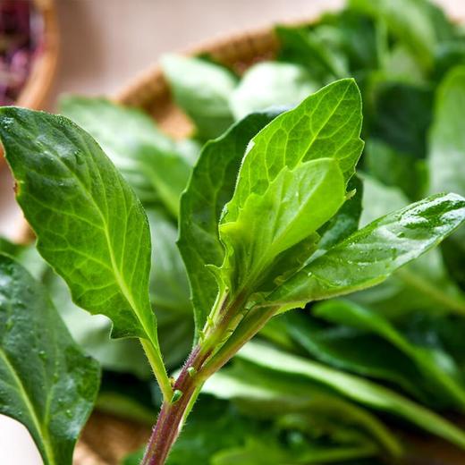 片仔癀200g 商品图1