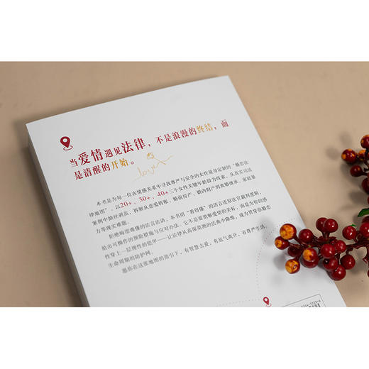 女性婚恋法律地图：20·30·40 谢娟（小白姐）著 法律出版社 商品图8