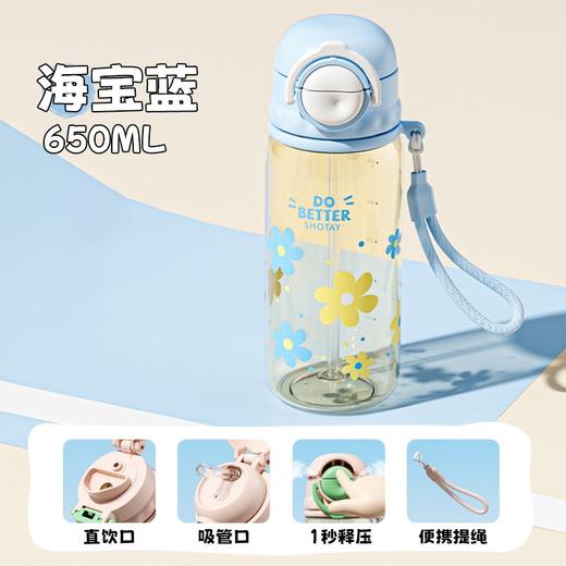 尚泰PPSU双饮水杯650ml夏季水杯ppsu材质 商品图2