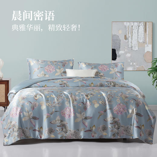 太湖雪丝享真丝组合被 商品图0