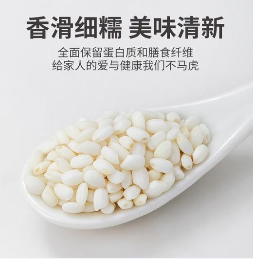 【YC】江米 商品图1