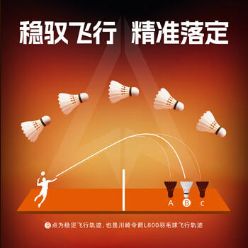川崎羽毛球耐打稳定训练比赛球天然羽毛12只装 令箭L800 商品图4