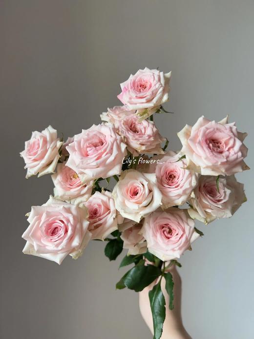 【AB级星悦宝贝多头玫瑰.第二件减10元】5支/份 长约60cm 商品图6