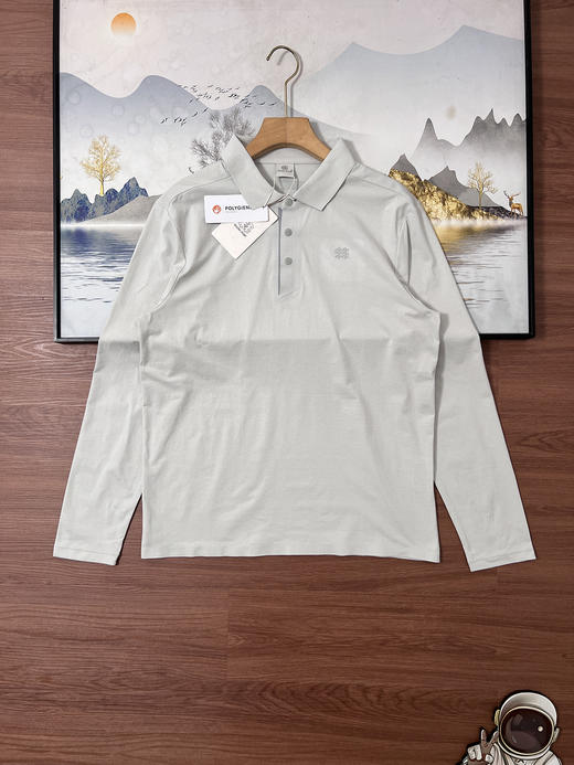 点此购买 可隆春秋季男士商务休闲长袖POLO衫 hh 341869 商品图1