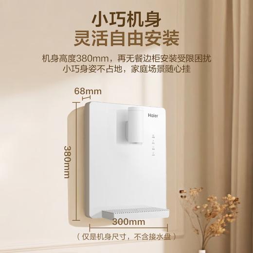 海尔（Haier）管线机云朵温热款壁挂式净水器伴侣100%真沸腾0硅胶管路0异味饮水机直饮机HGRZ2312 商品图3