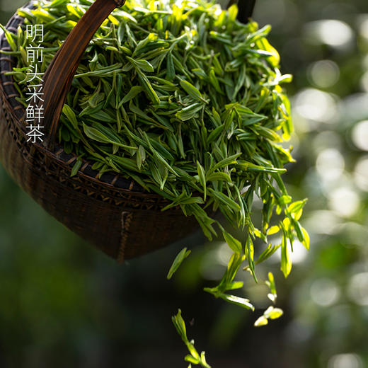 【预售3.18号发货】葛龙明前龙井 ，2026明前头采，西湖核心产区，百年传承手作，顺丰包邮 商品图1