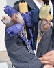 非遗手工扎染草木染郁金香永生花布艺家居礼物装饰专用 商品缩略图2