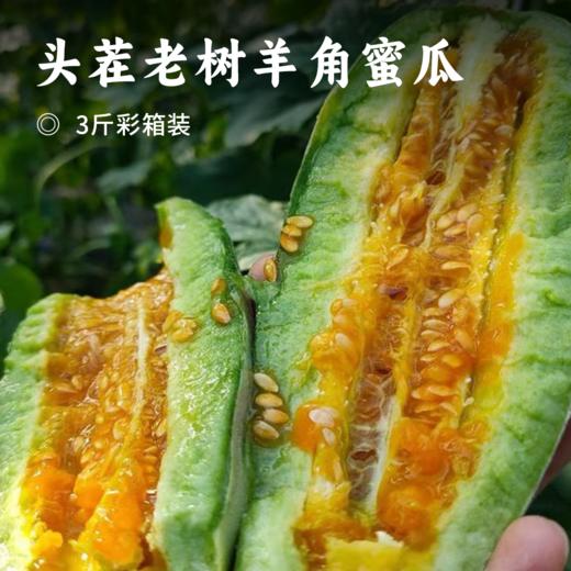 头茬老树羊角蜜瓜 | 头茬蜜瓜抢先尝 水润多维C 肉脆多汁 清香可口 无渣更爽脆 现采更新鲜 商品图0