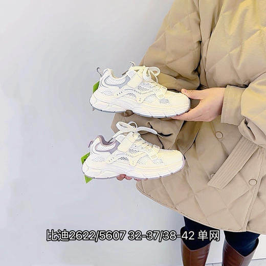 比迪2622/5607 商品图0