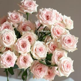 【AB级星悦宝贝多头玫瑰.第二件减10元】5支/份 长约60cm