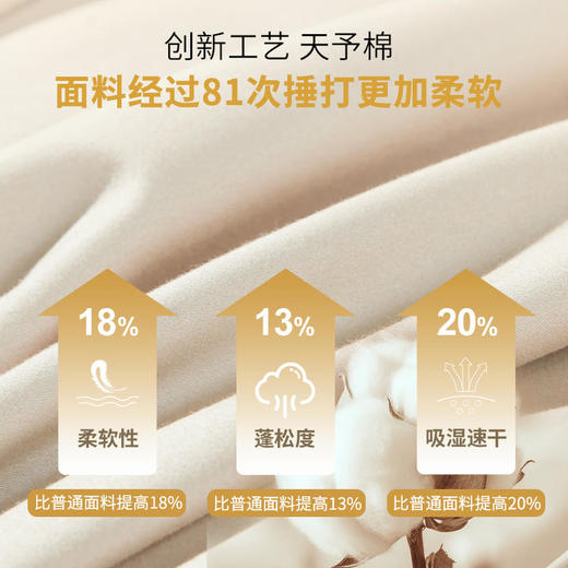 【代发】50支磨毛 天予棉床单款/床笠款 蓝铂四件套纯棉（尺寸为被罩尺寸） 商品图4