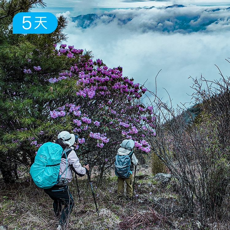春季神农架｜21公里无人区穿越 “华中屋脊”  新人友好 5日