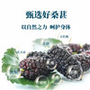 桑葚发酵饮 原汁发酵好吸收 不添加蔗糖酸甜浓稠 轻松噗噗肚子顺畅健康苗条族 桑葚汁发酵饮187ml 商品缩略图3