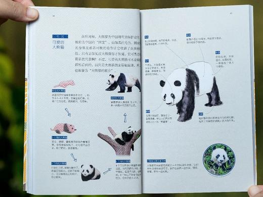 《给孩子讲中国地理》（礼盒装全14册），赠1：大4开中国地图，2：给孩子讲中国地理-视频公开课，3：配套诗词朗诵，4：地理知识大闯关游戏， 商品图4