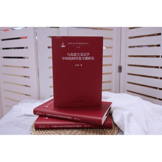 马克思主义法学中国化时代化专题研究/公丕祥 商品图3