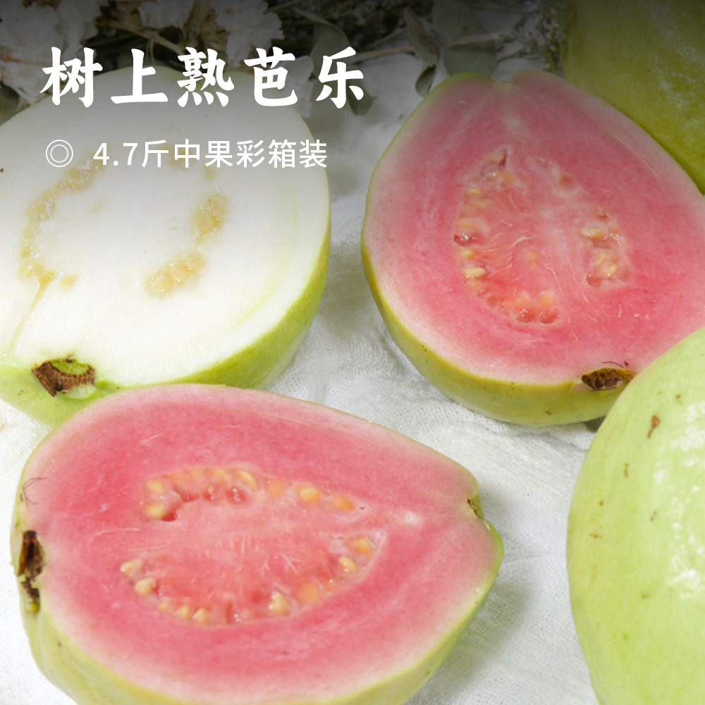 树上熟芭乐 | 红白双拼 冰淇淋般丝滑  轻食界新宠 入口软糯温润 色如奶油 不催熟不打膨大剂 原汁原味