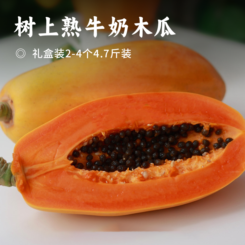 树上熟牛奶木瓜 | 橙红饱满 果香扑鼻 口即化 细腻无纤维 绵密口感自带浓郁奶香 甜而不腻 每一口都是自然的馈赠 顺丰/京东随机配送 新鲜直达手中