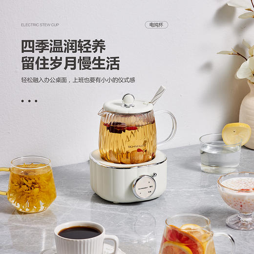 电炖杯 SWK-XDBL01 商品图6