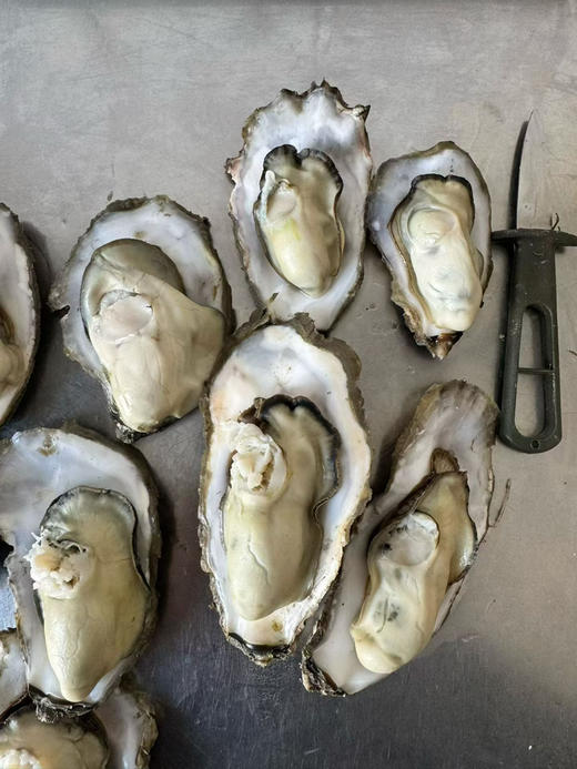 正宗乳山生蚝 商品图3