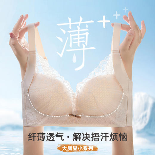 雅黛俪大胸显小显瘦女士文胸轻薄透气性感蕾丝调整型内衣胸罩 商品图1
