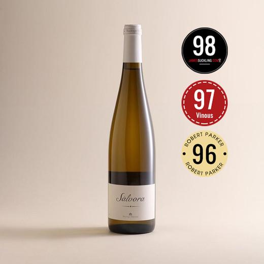 【西班牙干白巨作】萨尔沃 阿尔巴利诺 干白 Rodrigo Méndez Sálvora 2023 商品图0