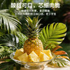 【顺丰直发】海南金钻凤梨4.5斤 香甜多汁 不催熟 产地直发 商品缩略图0