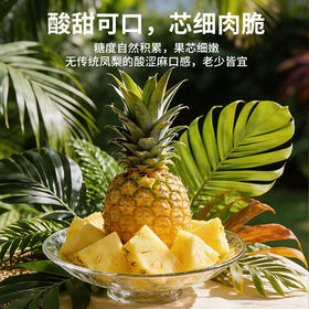 【顺丰直发】海南金钻凤梨4.5斤 香甜多汁 不催熟 产地直发