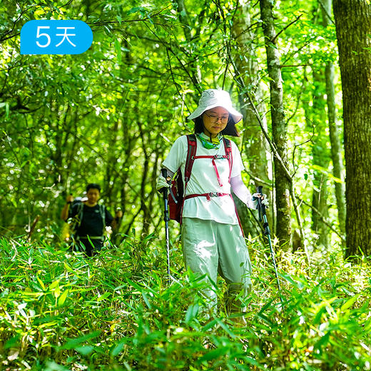 春季神农架｜21公里无人区穿越 “华中屋脊”  新人友好 5日 商品图4