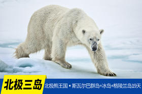 7月20日确定出发【北极三岛】北极熊王国▪斯瓦尔巴群岛+冰岛+格陵兰岛19天<海洋信天翁>