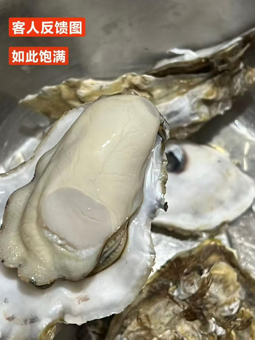 正宗乳山生蚝 商品图0