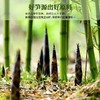 安吉发笋春笋笋尖免泡免煮去酸250g 商品缩略图2