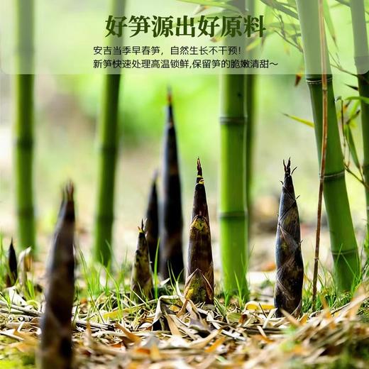 安吉发笋春笋笋尖免泡免煮去酸250g 商品图2