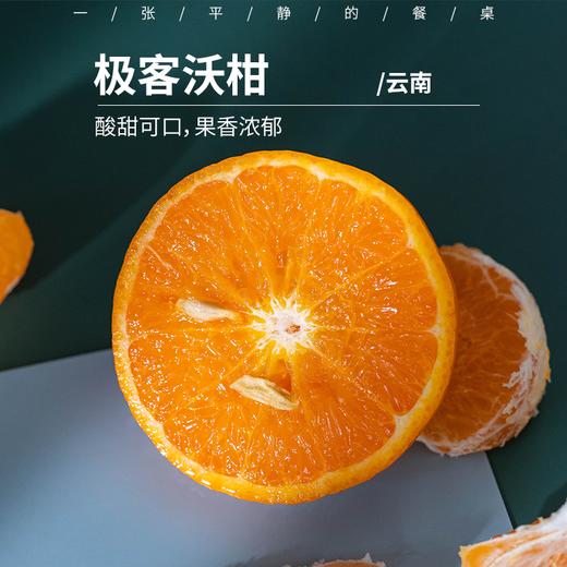 极客沃柑 | 甜度高 果味浓 汁水丰盈   果子生长的环境相比平原恶劣很多，所以果子难免都有些花皮，不影响食用！⭐️中通快递 商品图0