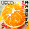 【宜昌助农馆】峡江秭归伦晚脐橙  鲜橙头茬上市 多规格可选 商品缩略图0